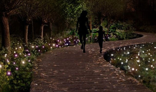 This image depicts a magical, enchanting outdoor setting at night. The focal point is a winding wooden walkway or path, illuminated by a multitude of twinkling lights that create a captivating and whimsical atmosphere. The path meanders through a lush, forested area, with the silhouettes of tall trees framing the scene and casting gentle shadows. The lighting, which appears to be a combination of small, individual lights or lanterns, is scattered along the path, creating the impression of a trail of glowing fireflies or stars. In the distance, two figures can be seen walking the path, adding a sense of scale and inviting the viewer to imagine themselves immersed in this enchanting outdoor oasis. The overall impression is one of tranquility, wonder, and a touch of magic, creating a truly mesmerizing and visually striking scene. The attention to detail and the thoughtful use of lighting transform this simple outdoor setting into an extraordinary and immersive experience, evoking a sense of enchantment and inviting the viewer to explore and discover the beauty of this unique and captivating natural environment.