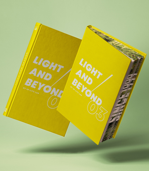 Light and beyond #3