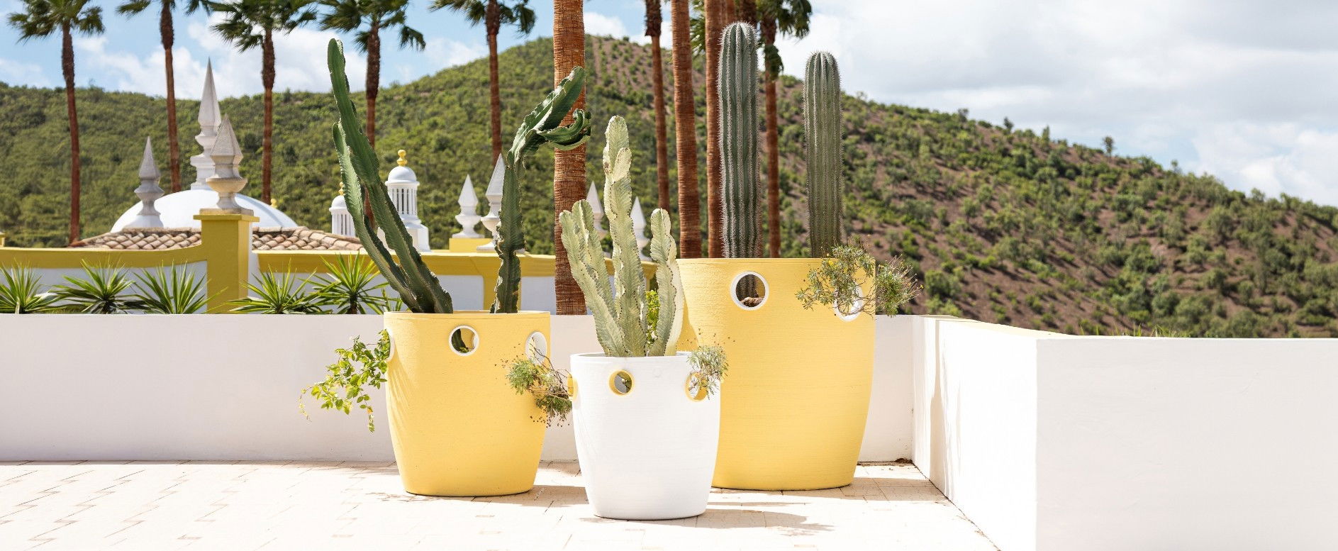 torc pots
