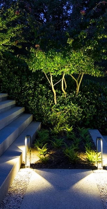 This image presents a stunning and well-designed outdoor living space that seamlessly integrates architectural elements with the surrounding natural environment. The focal point is the series of concrete steps leading down into the garden area, which are illuminated by strategically placed lighting fixtures that cast a warm and inviting glow. The steps themselves are intentionally designed with a modern, minimalist aesthetic, creating a clean and sleek visual contrast against the lush, verdant foliage that cascades over the edges. Flanking the steps, a wooden deck or platform extends the living space, further enhancing the connection between the built and natural elements. The warm wood tones of the deck complement the cool, gray concrete, while the lighting fixtures along the deck's edge add a sense of depth and drama to the overall composition. The carefully curated planting palette, with its vibrant greens and sculptural forms, creates a captivating backdrop that softens the architectural lines and adds a sense of natural harmony. The strategic placement of the lighting not only illuminates the steps and deck but also accentuates the texture and depth of the vegetation, casting dramatic shadows and highlighting the interplay of light and shadow. The integration of these various design elements – the concrete, wood, lighting, and lush greenery – results in a cohesive and visually striking outdoor living space that invites the user to engage with and explore the carefully crafted environment. This image exemplifies the power of thoughtful landscape and architectural design to create an immersive and harmonious outdoor experience.