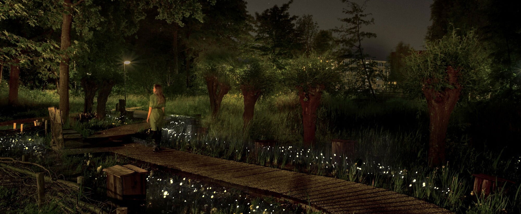This image depicts a tranquil and enchanting nighttime scene in a lush, wooded garden environment. A long, wooden boardwalk or path winds through the verdant landscape, lined with clusters of delicate white flowers that appear to be gently illuminated, casting a magical, sparkling glow across the scene.  The path is flanked by tall, mature trees that create a canopy overhead, filtering the soft, ambient lighting from unseen sources and casting warm, filtered shadows across the ground. In the distance, a lone figure can be seen walking along the path, adding a sense of scale and human presence to the serene setting.  The overall composition creates a tranquil and enchanting atmosphere, where the interplay of natural elements and subtle lighting evokes a sense of wonder and peaceful contemplation. The scene exudes a feeling of harmony and enchantment, inviting the viewer to immerse themselves in the beauty and serenity of the outdoor garden oasis.