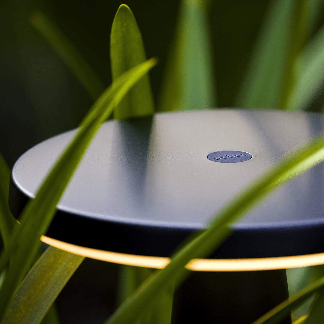 This image showcases a sleek, minimalist design object nestled amidst lush, verdant foliage. The focal point is a round, silver-colored device with a subtle Bose logo, indicating it is likely a Bose audio product. The device is positioned in a way that highlights its elegant, streamlined form, with the surrounding greenery providing a striking contrast and natural backdrop. The lighting in the scene creates a soft, warm glow, adding to the overall sense of tranquility and harmony between the technological device and the natural environment. The composition of the image draws the viewer's attention to the interplay between the man-made object and the organic, living elements of the plants. This juxtaposition suggests a thoughtful integration of design and nature, where the technological product is presented as a complement to, rather than an imposition on, the natural setting. The overall impression is one of a carefully curated and visually striking scene that showcases the design philosophy of the Bose brand, emphasizing the seamless blending of form, function, and environmental context.