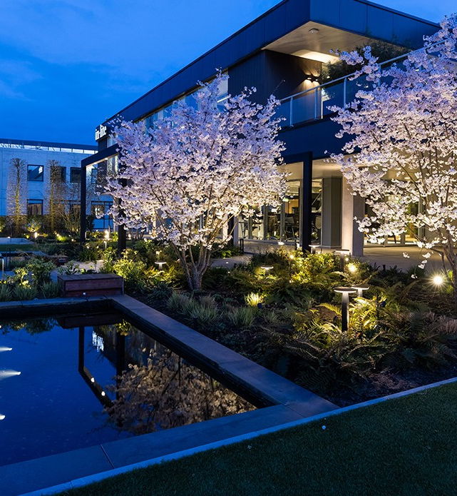 This image depicts a breathtaking outdoor garden scene at night, featuring a serene reflecting pool surrounded by lush vegetation and illuminated by strategic lighting. The focal point is the pool, which perfectly mirrors the vibrant cherry blossom trees in bloom, creating a beautiful and tranquil atmosphere. The trees are adorned with clusters of delicate white flowers, casting a soft, warm glow over the entire scene. Surrounding the pool are carefully manicured plants and shrubs, adding depth and texture to the landscape. Strategically placed lighting fixtures along the pathways and in the garden beds enhance the overall ambiance, creating a sense of magic and wonder. The modern, glass-enclosed building in the background complements the natural elements, seamlessly blending the indoor and outdoor spaces. The combination of the serene pool, the stunning cherry blossoms, and the sophisticated architectural design creates a truly enchanting and visually captivating outdoor oasis. This image evokes a sense of tranquility, beauty, and harmony, inviting the viewer to imagine themselves immersed in this peaceful and inviting garden setting.