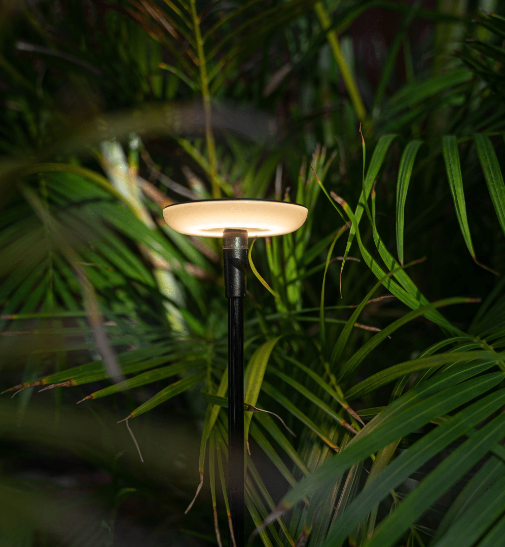 This image depicts a sleek, modern outdoor lighting fixture nestled amidst a lush, vibrant garden environment. The lighting fixture features a minimalist, black metal stem supporting a warm, glowing disc-shaped light source. The fixture is positioned in a way that allows the light to subtly illuminate the surrounding foliage, creating a soft, ambient glow that highlights the rich textures and verdant tones of the plants. The tall, slender stem blends seamlessly with the vertical lines and shadows of the surrounding vegetation, creating a harmonious integration of the designed element and the natural setting. The overall composition emphasizes the interplay between the man-made lighting fixture and the organic, living garden. The lighting provides a subtle accent that enhances the beauty and tranquility of the outdoor space, without overpowering or distracting from the natural beauty of the plants and their environment. This image conveys a sense of thoughtful, intentional design that elevates the functional purpose of outdoor lighting into a visually striking and environmentally-conscious aesthetic. The careful placement and integration of the fixture creates a serene and inviting atmosphere that complements the inherent charm of the natural landscape.