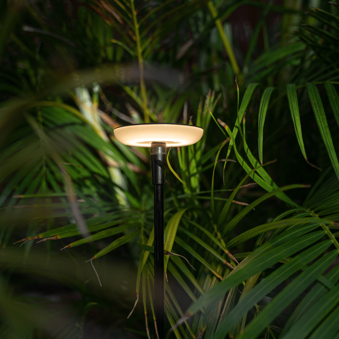 This image depicts a sleek, modern outdoor lighting fixture nestled amidst a lush, vibrant garden environment. The lighting fixture features a minimalist, black metal stem supporting a warm, glowing disc-shaped light source. The fixture is positioned in a way that allows the light to subtly illuminate the surrounding foliage, creating a soft, ambient glow that highlights the rich textures and verdant tones of the plants. The tall, slender stem blends seamlessly with the vertical lines and shadows of the surrounding vegetation, creating a harmonious integration of the designed element and the natural setting. The overall composition emphasizes the interplay between the man-made lighting fixture and the organic, living garden. The lighting provides a subtle accent that enhances the beauty and tranquility of the outdoor space, without overpowering or distracting from the natural beauty of the plants and their environment. This image conveys a sense of thoughtful, intentional design that elevates the functional purpose of outdoor lighting into a visually striking and environmentally-conscious aesthetic. The careful placement and integration of the fixture creates a serene and inviting atmosphere that complements the inherent charm of the natural landscape.