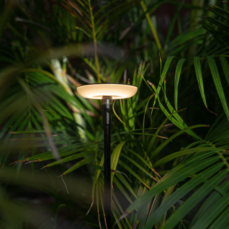 This image depicts a sleek, modern outdoor lighting fixture nestled amidst a lush, vibrant garden environment. The lighting fixture features a minimalist, black metal stem supporting a warm, glowing disc-shaped light source. The fixture is positioned in a way that allows the light to subtly illuminate the surrounding foliage, creating a soft, ambient glow that highlights the rich textures and verdant tones of the plants. The tall, slender stem blends seamlessly with the vertical lines and shadows of the surrounding vegetation, creating a harmonious integration of the designed element and the natural setting. The overall composition emphasizes the interplay between the man-made lighting fixture and the organic, living garden. The lighting provides a subtle accent that enhances the beauty and tranquility of the outdoor space, without overpowering or distracting from the natural beauty of the plants and their environment. This image conveys a sense of thoughtful, intentional design that elevates the functional purpose of outdoor lighting into a visually striking and environmentally-conscious aesthetic. The careful placement and integration of the fixture creates a serene and inviting atmosphere that complements the inherent charm of the natural landscape.